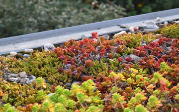the cost of Ludchurch green roof installation