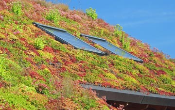 Ludchurch living roof systems