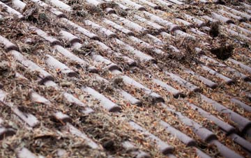 Ludchurch roof cleaning companies