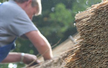 professional Ludchurch thatchers